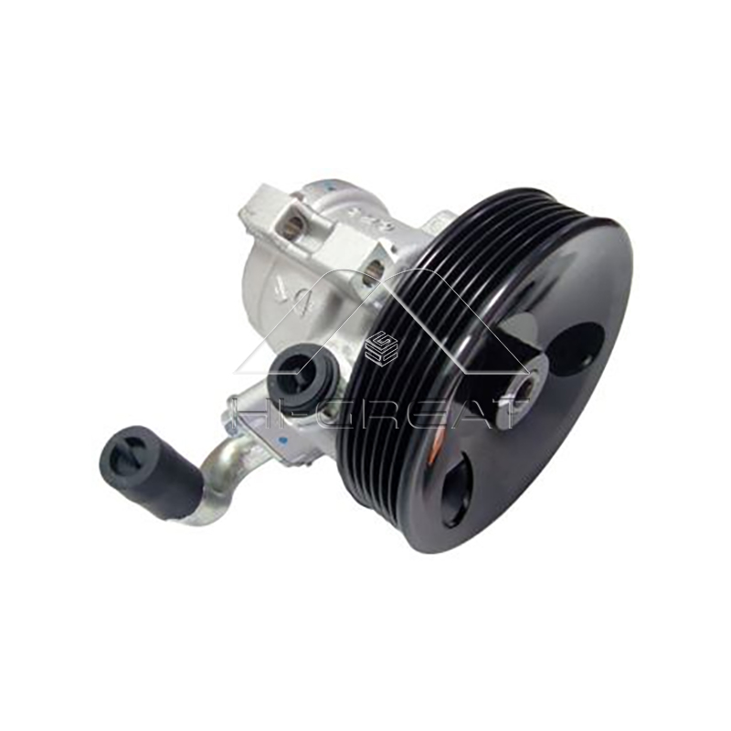 OEM  25953817 - Hydraulic Steering Pump for  SsangYong Korando C (12-Н.В)  2012-