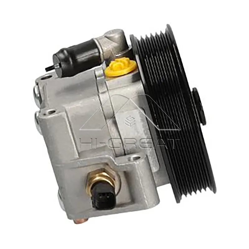 OEM  2S413A696AA - Hydraulic Steering Pump for FORD FOCUS (DAW, DBW) od 1998.10 do 2007.12