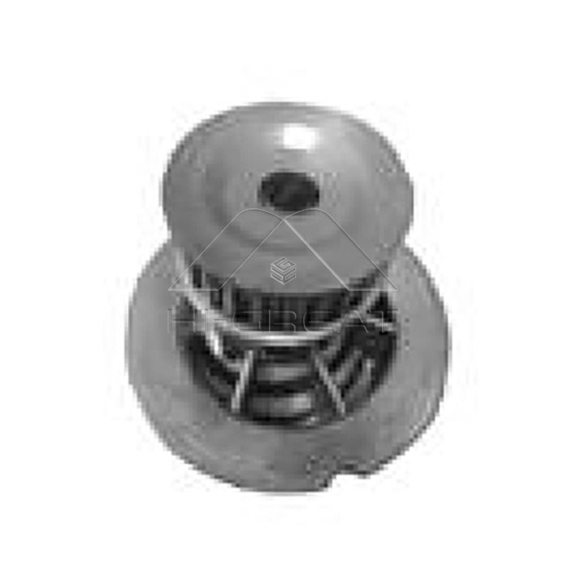 OEM    96499089   Water Pump for  CHEVROLET  CAPTIVA (C100, C140) 2.4