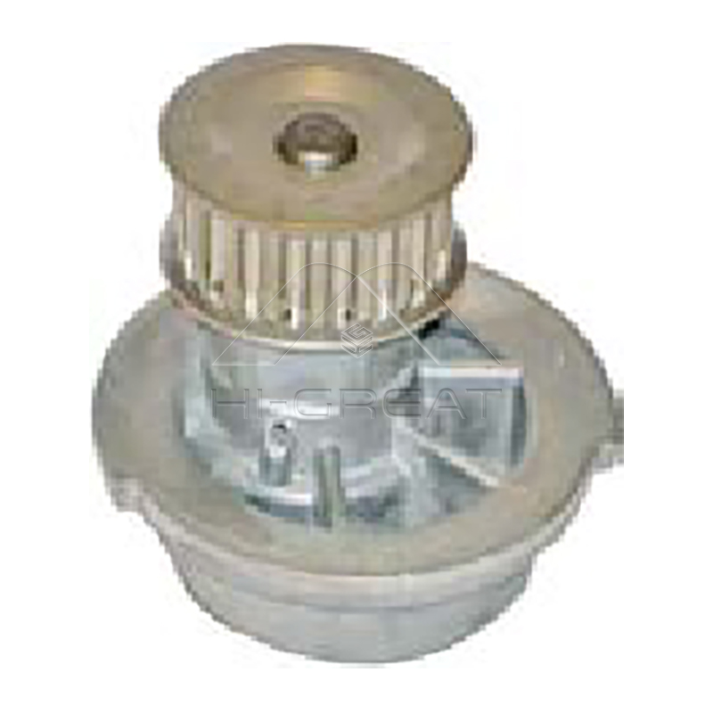 96352648  OEM Water Pump for CHEVROLET  AVEO / KALOS Hatchback (T200) 1.4