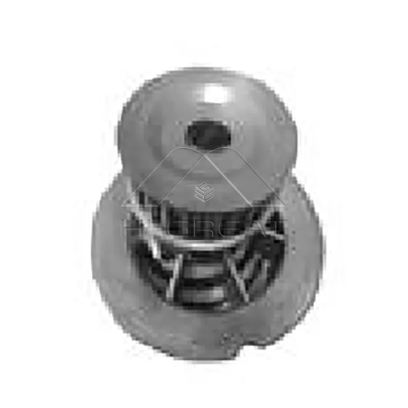 OEM   96499089   Water Pump for  CHEVROLET  CAPTIVA (C100, C140) 2.4