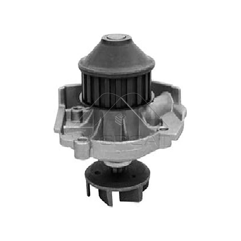 OEM   5973713  Water Pump for  FIAT  PALIO (178_, 171_, 371_) 1.2