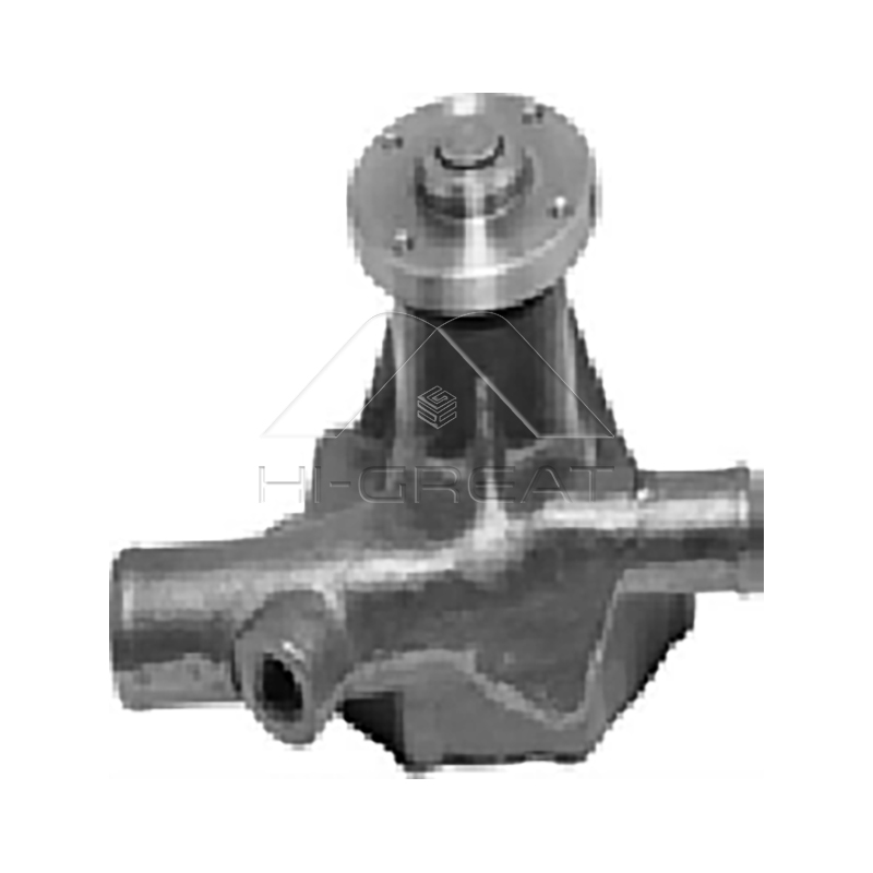 21010-10G25  OEM Water Pump for  NISSAN  PICK UP (720) 2.5 D 4WD