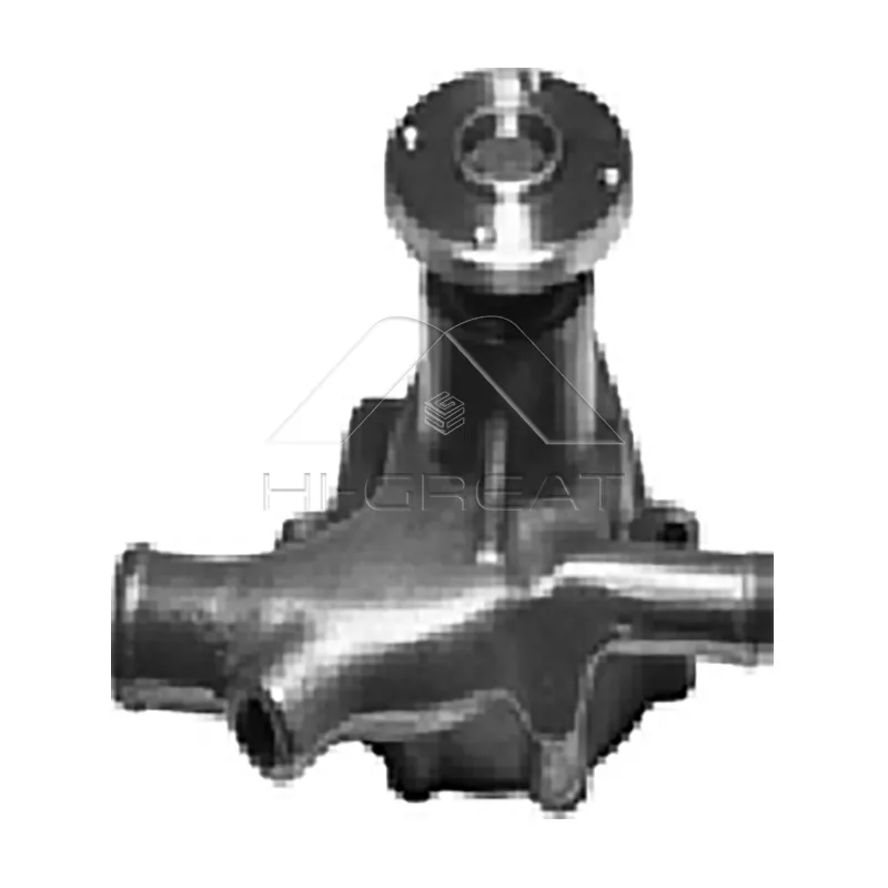 21010-09W25  OEM Water Pump for  NISSAN  PICK UP (720) 2.2 D