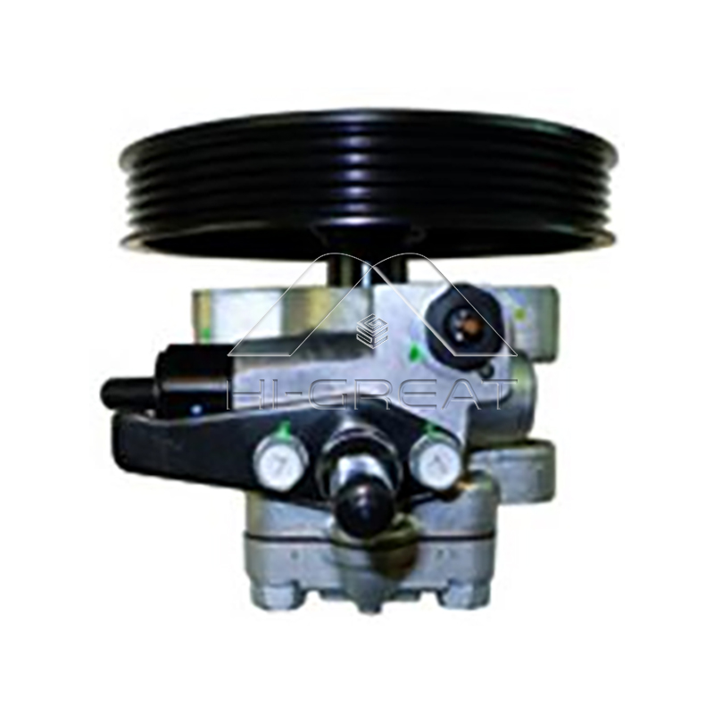 57100-38100  OEM Steering Pump for  HYUNDAI  SANTA FÉ I (SM) 2.0