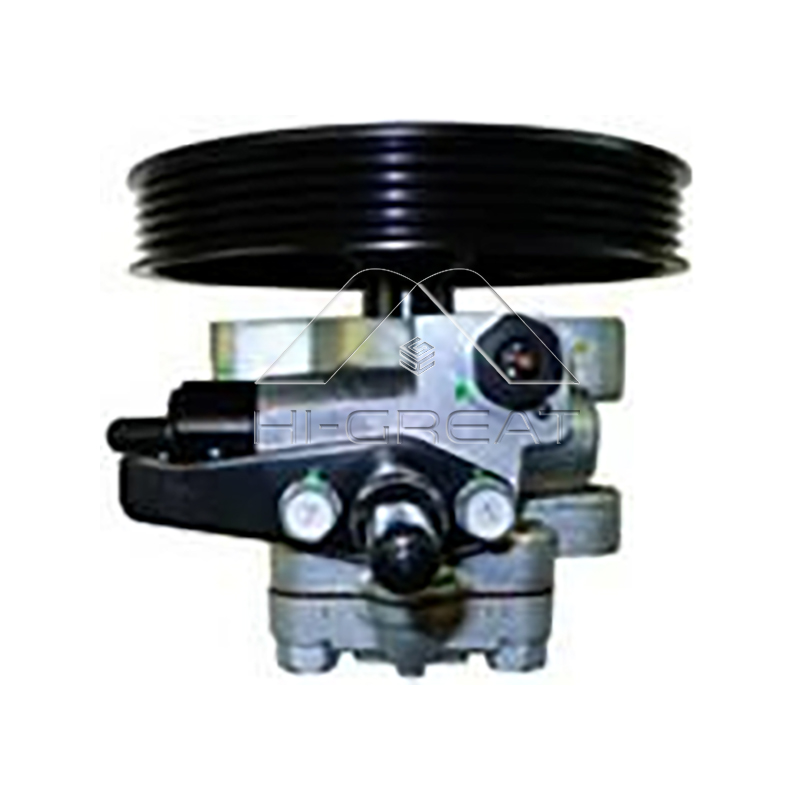 57100-38100  OEM Steering Pump for  HYUNDAI  SANTA FÉ I (SM) 2.0