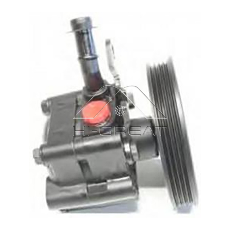49110-9F600  OEM Steering Pump for  NISSAN  ALMERA II (N16) 1.5
