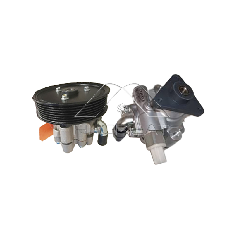 49110-00Q3G  OEM Steering Pump for  OPEL  MOVANO B Bus (X62) 2.3 CDTI FWD (JV)