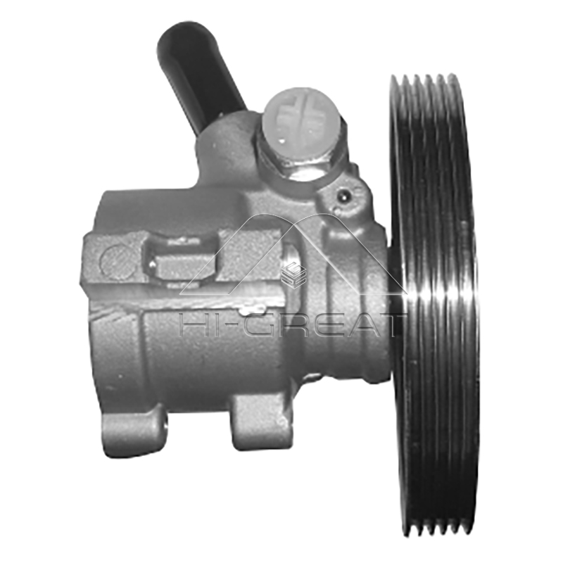 4007Z1  OEM Steering Pump for   CITROEN  JUMPY I (U6U_) 1.9 D