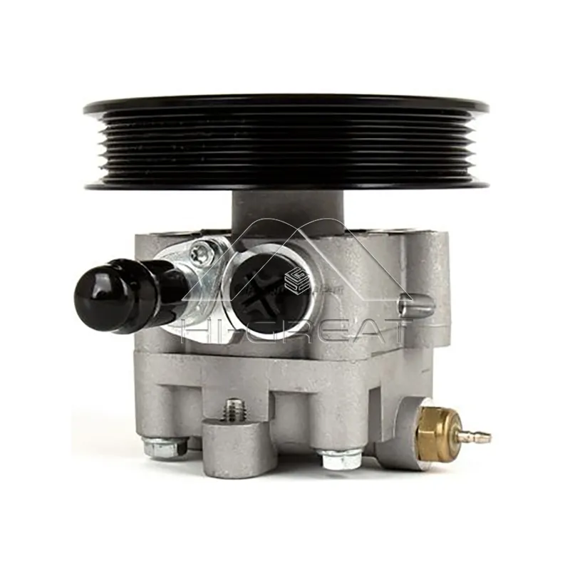 49110-80J00  OEM Steering Pump for   SUZUKI  SX4 (EY, GY) 2.0 DDiS (RW420D)