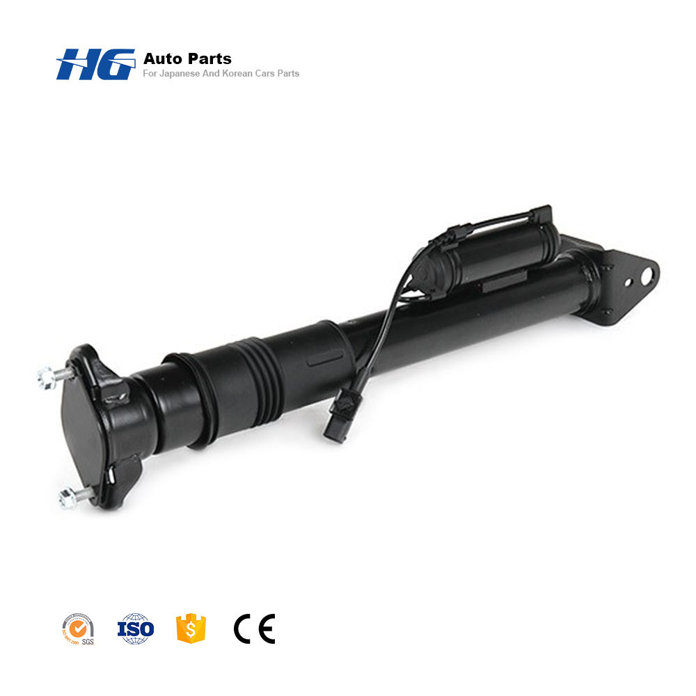 Car Air Struts 2513203131 Air Spring Air Suspension Shock for Mercedes-Benz RClass W251 With ADS Rear Left and Right